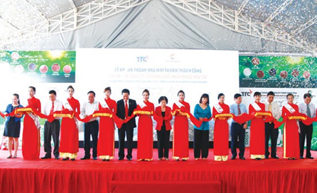 nhà máy sản xuất Thành Thành Công